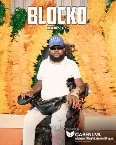 Blockobana 2024 - Cabenuva Photobooth